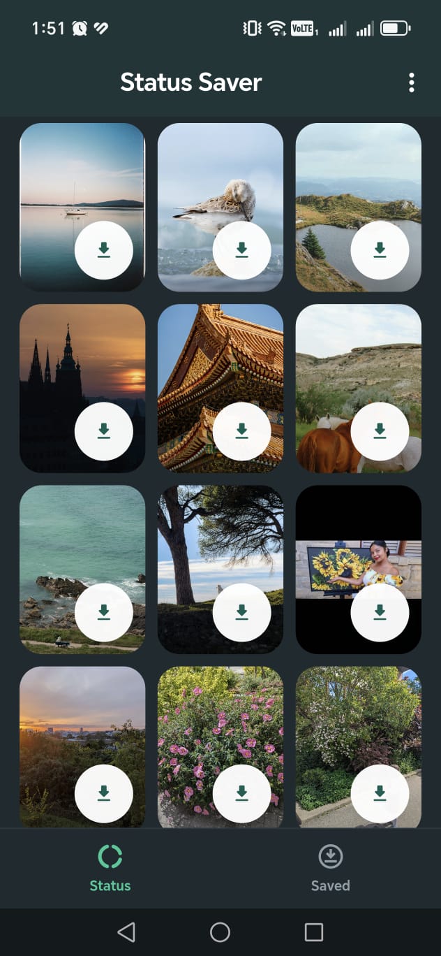 Status Saver app screen preview